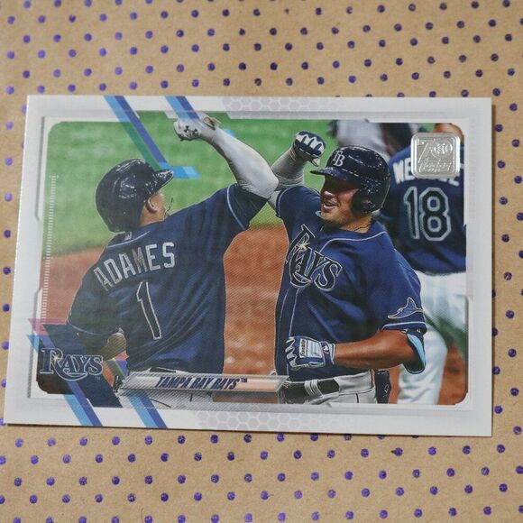 Tampa Bay Rays #222 Baseball Card - Picture 1 of 2